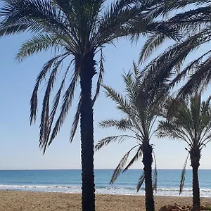 https://apartamento-autentico-playa.hotelsinnerja.org
